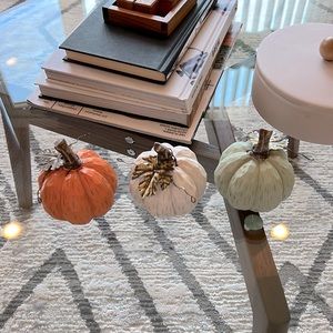Fall pumpkins decor, set of 3
